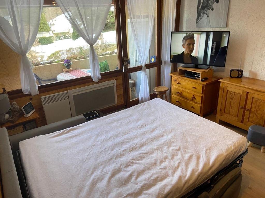 Appartement Vue Montagne Avec Wifi Saint-Lary-Soulan Exteriör bild